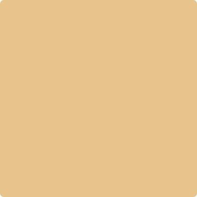 Shop Paint Color CC-242 Maple Fudge by Benjamin Moore at Southwestern Paint in Houston, TX.