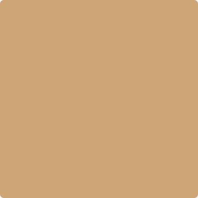 Shop Paint Color CC-274 Ginger Root by Benjamin Moore at Southwestern Paint in Houston, TX.