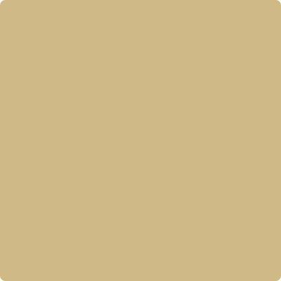 Shop Paint Color CC-300 Sombrero by Benjamin Moore at Southwestern Paint in Houston, TX.
