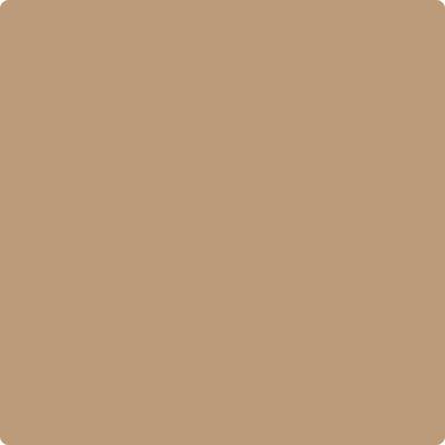 Shop Paint Color CC-302 Rawhide by Benjamin Moore at Southwestern Paint in Houston, TX.