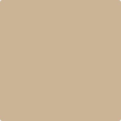 Shop Paint Color CC-338 Bluffs by Benjamin Moore at Southwestern Paint in Houston, TX.