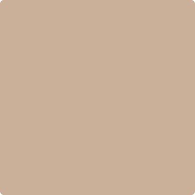 Shop Paint Color CC-366 Nubuck by Benjamin Moore at Southwestern Paint in Houston, TX.