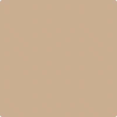 Shop Paint Color CC-488 Biscotti by Benjamin Moore at Southwestern Paint in Houston, TX.