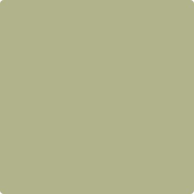 Shop Paint Color CC-590 Grasslands by Benjamin Moore at Southwestern Paint in Houston, TX.