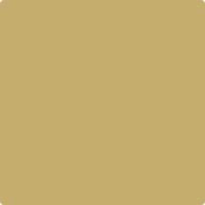Shop Paint Color HC-14 Princeton Gold by Benjamin Moore at Southwestern Paint in Houston, TX.