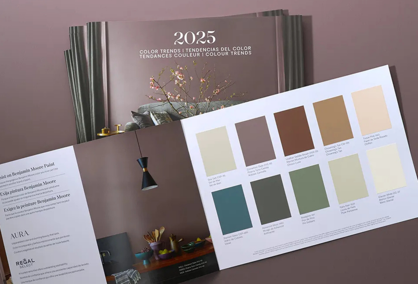 Cinnamon Slate is Benjamin Moore's Color of the Year available at Southwestern Paint in Houston, TX.