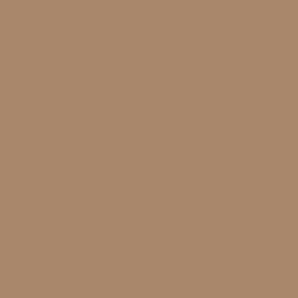CW195 Chowning's Tan by Benjamin Moore Paint Color Southwestern Paint