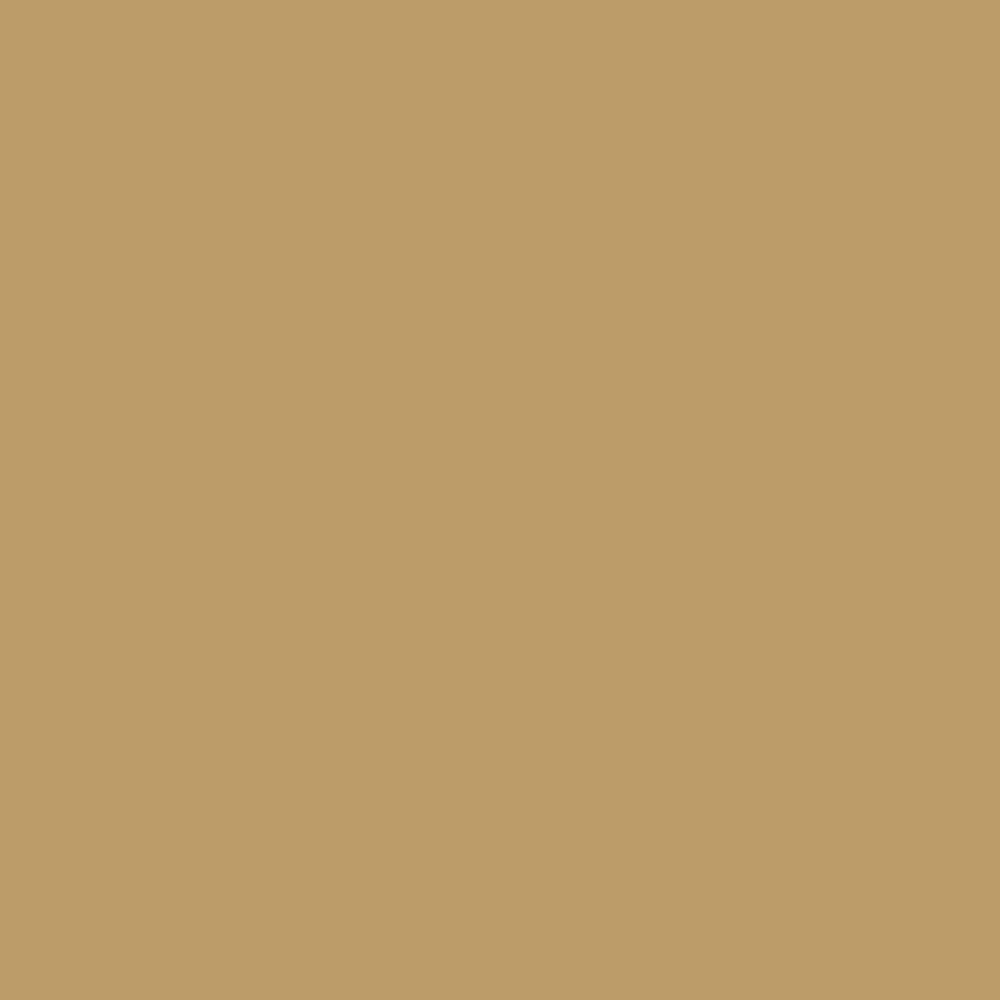 A familiar ochre, Duster by Farrow & Ball is available at Southwestern Paint in Houston, TX. 