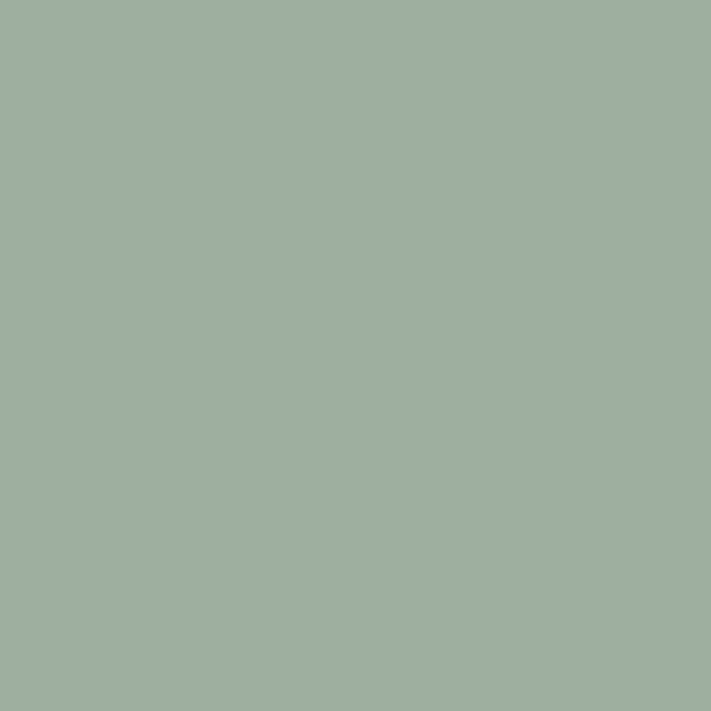 Green Blue Farrow & Ball, available at Southwestern Paint in Houston, TX. 