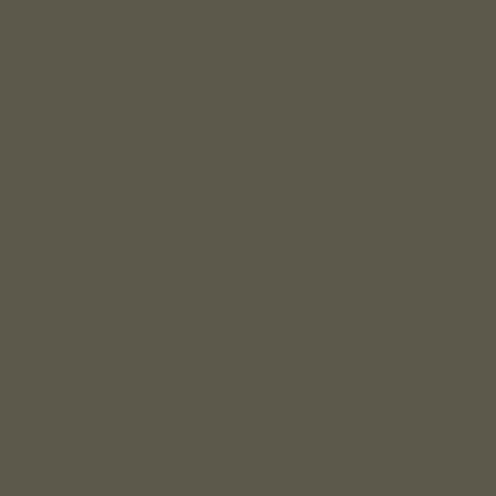 A dark, earthy green, Reduced Green by Farrow &amp; Ball is available at Southwestern Paint in Houston, TX. 