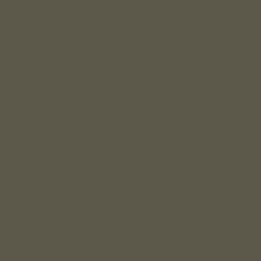 A dark, earthy green, Reduced Green by Farrow & Ball is available at Southwestern Paint in Houston, TX. 