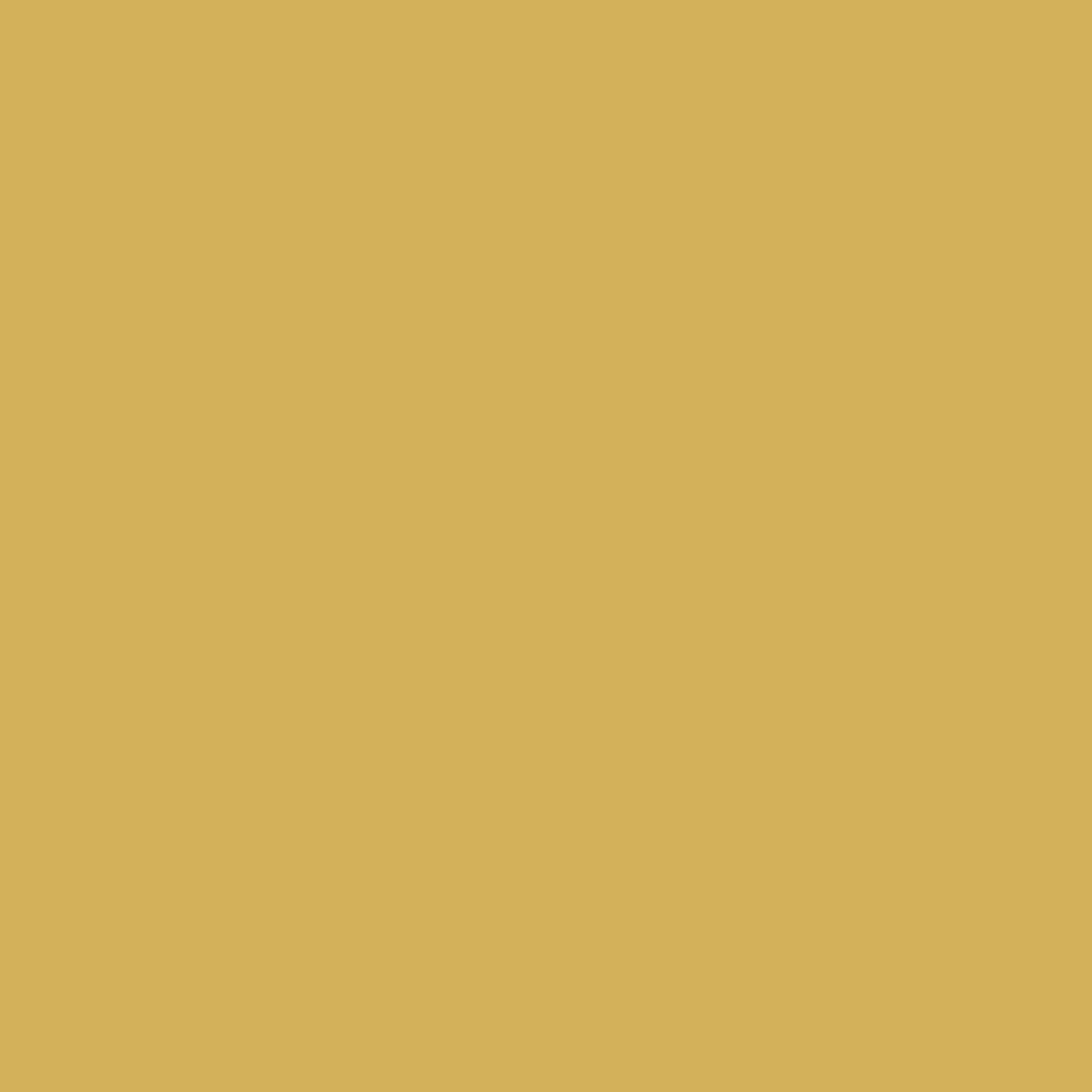 Sudbury Yellow Farrow &amp; Ball, available at Southwestern Paint in Houston, TX. 