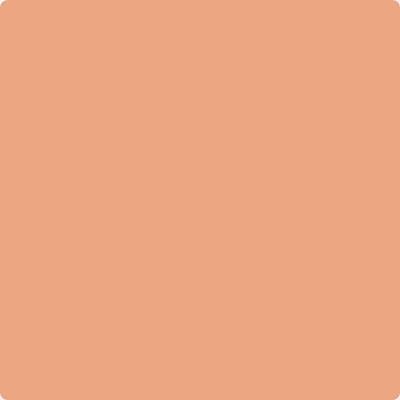 Shop Paint Color 068 Succulent Peach by Benjamin Moore at Southwestern Paint in Houston, TX.