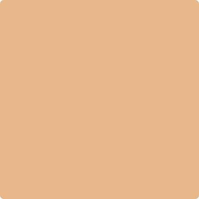 Shop Paint Color 117 Persian Melon by Benjamin Moore at Southwestern Paint in Houston, TX.