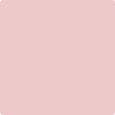 Shop Paint Color 1276 Petunia Pink by Benjamin Moore at Southwestern Paint in Houston, TX.