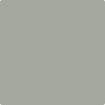 Shop Paint Color 1482 Sabre Gray by Benjamin Moore at Southwestern Paint in Houston, TX.