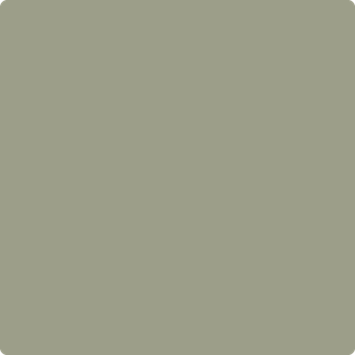 Shop Paint Color 1496 Raintree Green by Benjamin Moore at Southwestern Paint in Houston, TX.