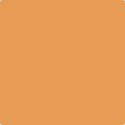 Shop Paint Color 161 Brilliant Amber by Benjamin Moore at Southwestern Paint in Houston, TX.
