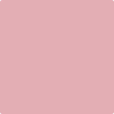 Shop Paint Color 2005-50 Pink Eraser by Benjamin Moore at Southwestern Paint in Houston, TX.