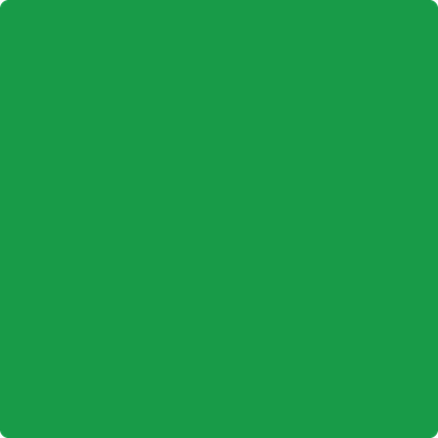 Shop Paint Color 2032-10 Neon Green by Benjamin Moore at Southwestern Paint in Houston, TX.