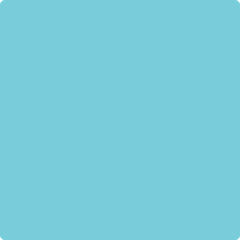 fairy cege / Color：Blue 2055-50-fairytaleblue_6a34dddd