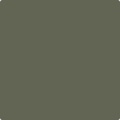 Shop Paint Color 2140-30 Dark Olive by Benjamin Moore at Southwestern Paint in Houston, TX.