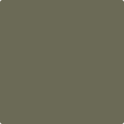 Shop Paint Color 2141-30 Army Patch by Benjamin Moore at Southwestern Paint in Houston, TX.