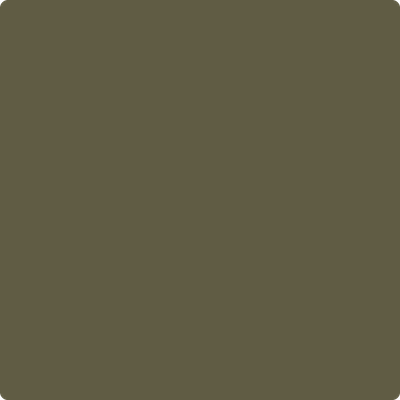 Shop Paint Color 2142-10 Mediterranean Olive by Benjamin Moore at Southwestern Paint in Houston, TX.