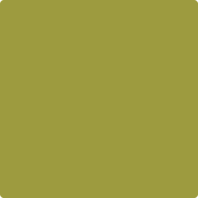 Shop Paint Color 2146-20 Forest Moss by Benjamin Moore at Southwestern Paint in Houston, TX.