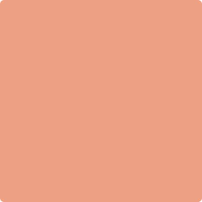 Shop Paint Color 2170-40 Coral Spice by Benjamin Moore at Southwestern Paint in Houston, TX.
