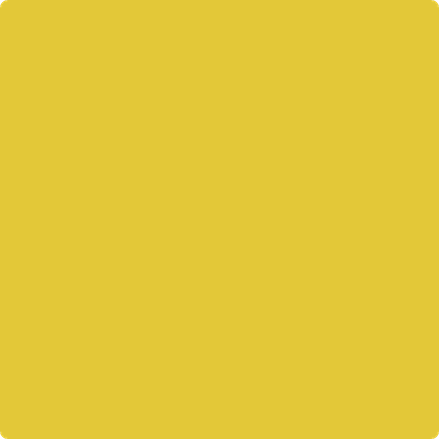 Shop Paint Color 357 Yellow Hibiscus by Benjamin Moore at Southwestern Paint in Houston, TX.