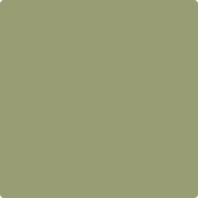 Shop Paint Color 482 Misted Fern by Benjamin Moore at Southwestern Paint in Houston, TX.