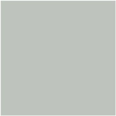 Shop Paint Color AF-490 Tranquillity by Benjamin Moore at Southwestern Paint in Houston, TX.