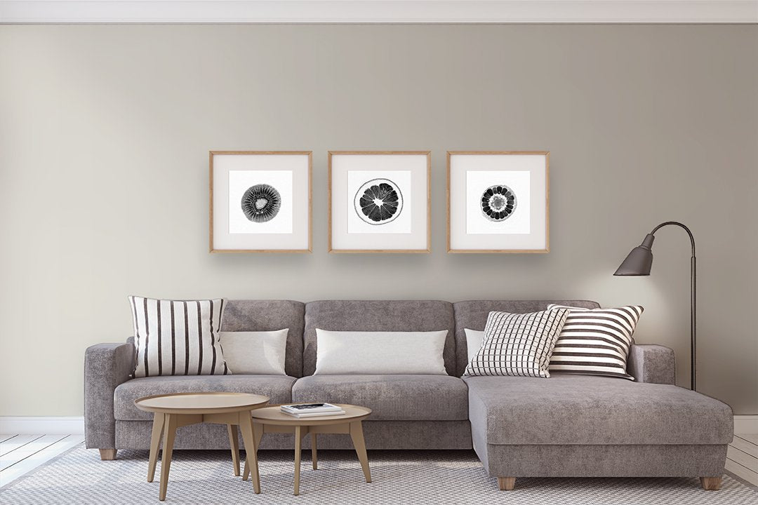 OC 23 Classic Gray by Benjamin Moore Paint Color Southwestern Paint