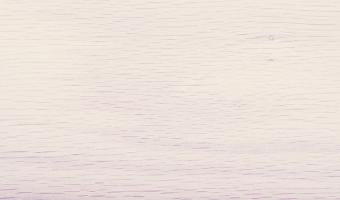 Old Masters Fast Dry Stain