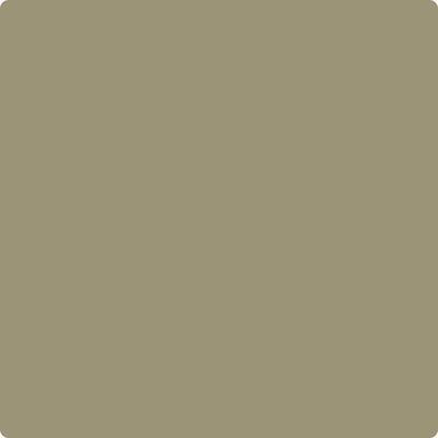 Shop Paint Color CC-632 Bed of Ferns by Benjamin Moore at Southwestern Paint in Houston, TX.