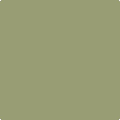 Shop Paint Color CC-668 Misted Fern by Benjamin Moore at Southwestern Paint in Houston, TX.