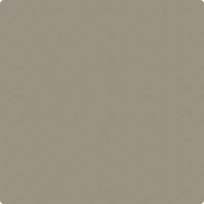 Shop Paint Color CC-696 Taiga by Benjamin Moore at Southwestern Paint in Houston, TX.