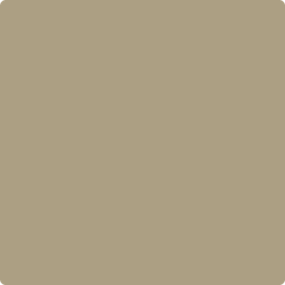 Shop Paint Color CSP-1040 Shiitake Mushroom by Benjamin Moore at Southwestern Paint in Houston, TX.